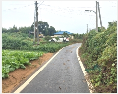  2023Ÿ��48309 ��� �ȼ��� �̾�� ��θ� 122-3      ����(����)���