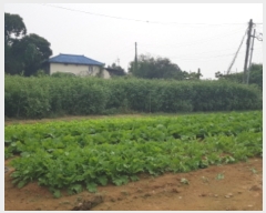  2023Ÿ��48309 ��� �ȼ��� �̾�� ��θ� 122-3      ����(����)���