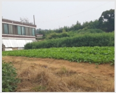  2023Ÿ��48309 ��� �ȼ��� �̾�� ��θ� 122-3      ����(����)���