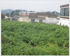  2023Ÿ��48309 ��� �ȼ��� �̾�� ��θ� 122-3      ����(����)���