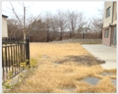  2023Ÿ��51794  ���ð��