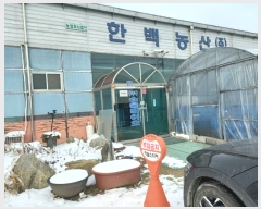  2023Ÿ52315  ý ؼ  269-4      (1)