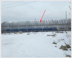  2023Ÿ52315  ý ؼ  269-4      (1)