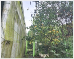  2023Ÿ��47115  ������