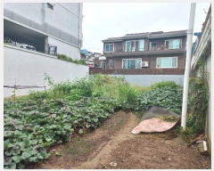  2023Ÿ��3641  �������