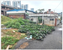  2023Ÿ��3641  �������