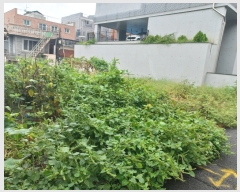  2023Ÿ��3641  �������