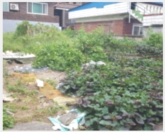  2023Ÿ��3641  �������