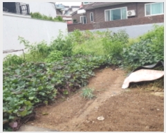  2023Ÿ��3641  �������