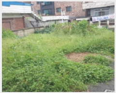  2023Ÿ��3641  �������