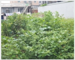  2023Ÿ��3641  �������