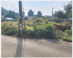  2023Ÿ��4743  �������