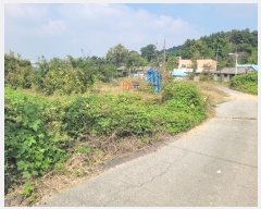  2023Ÿ��4743  �������