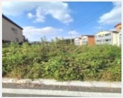  2023Ÿ49265  ý ؼ ٸ 102-9      (1)