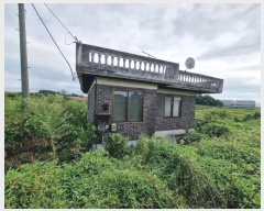  2023Ÿ3559  ý  ſ 441-7      ð