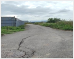  2023Ÿ3559  ý  ſ 441-7      ð