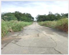  2023Ÿ3559  ý  ſ 441-7      ð