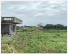  2023Ÿ3559  ý  ſ 441-7      ð