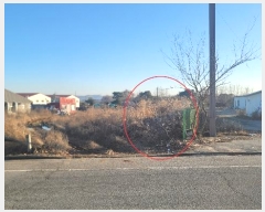  2023Ÿ��4835  �����