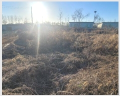  2023Ÿ��4835  �����