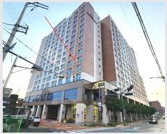  2023Ÿ46464  ý ؼ η 52, 5501ȣ (ĳ丮)    ǽڰ