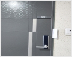  2023Ÿ46464  ý ؼ η 52, 5501ȣ (ĳ丮)    ǽڰ