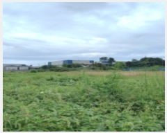  2023Ÿ��48095 ��� ���ý� ��ź�� ��õ�� 42-1      ����(��)���