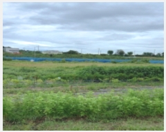  2023Ÿ��48095 ��� ���ý� ��ź�� ��õ�� 42-1      ����(��)���