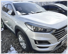  2023Ÿ��52490 ��� ���ý� �׹�1�� 157       �������