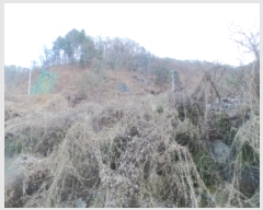  2023Ÿ��54067 ���� ��õ�� ����� ���ϸ� 500-5      ���ð��