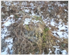  2023Ÿ��54067 ���� ��õ�� ����� ���ϸ� 500-5      ���ð��