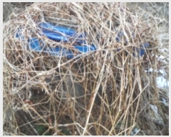  2023Ÿ��54067 ���� ��õ�� ����� ���ϸ� 500-5      ���ð��