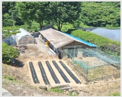  2023Ÿ��56124 ���� ��õ�� ��ϸ� ��ź�� 538-1      ����,â�����