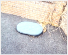  2023Ÿ��54176 ���� ������ ��ϵ� 709-1       ����(��1)���