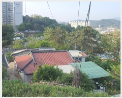  2023Ÿ��967 ���� ���ֽ� ������ 142       ����(��1)���