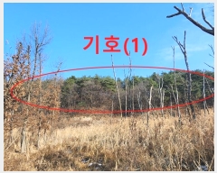 2023Ÿ2802  ֽ ηи 븲 52      (Ӿ)