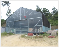  2023Ÿ��302786 ���� ���ֽ� ������ ���� 451-1      ����(�Ӿ�)���