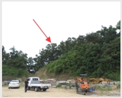  2023Ÿ��302786 ���� ���ֽ� ������ ���� 451-1      ����(�Ӿ�)���