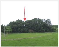  2023Ÿ��302786 ���� ���ֽ� ������ ���� 451-1      ����(�Ӿ�)���