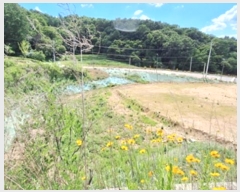  2023Ÿ��303321  �Ӿ߰��