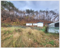  2023Ÿ304911  ֽ ͷ ͷ 113-3      ()