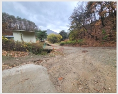  2023Ÿ304911  ֽ ͷ ͷ 113-3      ()