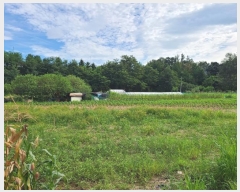  2023Ÿ��1632 ���� ���ֽ� ���ǵ� 127-5       ����(��)���