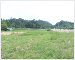  2023Ÿ��1632 ���� ���ֽ� ���ǵ� 127-5       ����(��)���