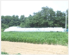  2023Ÿ��1632 ���� ���ֽ� ���ǵ� 127-5       ����(��)���