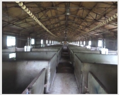  2023Ÿ2734  ֽ ʸ 縮 104      (󰡽ü)