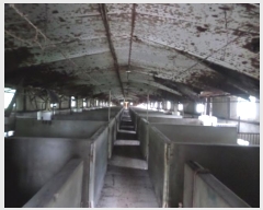  2023Ÿ2734  ֽ ʸ 縮 104      (󰡽ü)