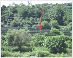  2023Ÿ2734  ֽ ʸ 縮 104      (󰡽ü)