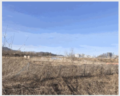  2023Ÿ��305204 ���� ���ֽ� ���ǵ� 145-3       ����(��1)���