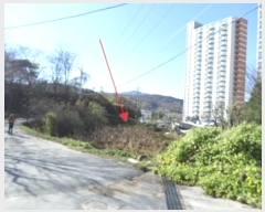  2023Ÿ��305488 ���� ���ֽ� ����� ����� 156      ����(��)���